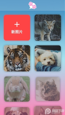 我的宠物会说话专业解锁版截图3