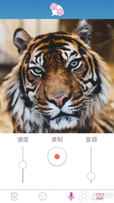 我的宠物会说话专业解锁版截图2