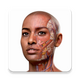 ��������ѧ2026����(complete anatomy 2023)v9.0.2 ��׿���°�