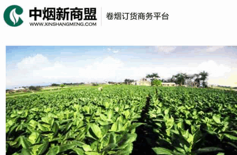 中国烟草专卖app(新商盟)