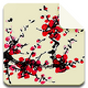ڤ��滭app(Zen!)v1.0.9 ��׿��Ѱ�