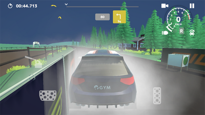 N3������(N3Rally)��ͼ3