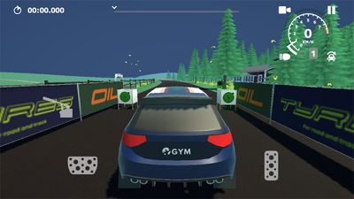 N3������(N3Rally)��ͼ2