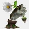 植物大战僵尸现实版v1.1.1 自制版