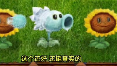 ֲ���ս��ʬ��ʵ���ͼ3