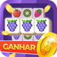 New Fruit Match Earn Coins�޹��1.0.0.4 �ֻ���
