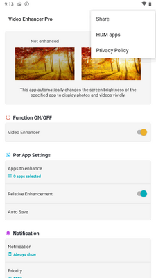 ��Ļ�����Զ���������(Video Enhancer Pro)��ͼ2