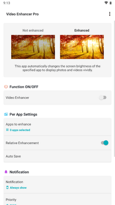 ��Ļ�����Զ���������(Video Enhancer Pro)��ͼ3