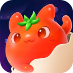 ���ѹ�����app�ֻ���׿��1.0.10���°�