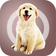 �˹�������app���°�2.0.6�ֻ��ٷ���׿��