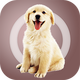 �˹�������app���°�2.0.6�ֻ��ٷ���׿��
