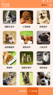 人狗交流器app最新版截图3