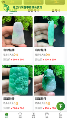 ���һ���鱦�ֻ��˽�ͼ5