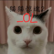 猫猫惊魂2_OL安卓版