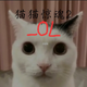 èè����2_OL��׿��OLv1.0 ������