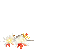�һ������ٷ����°�v1.0.3��׿��