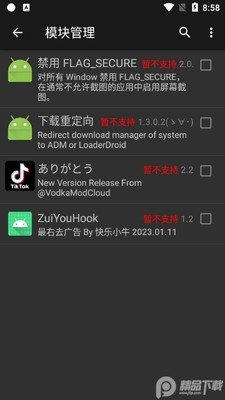 禁用FLAG_SECURE(禁用截屏插件)截图1