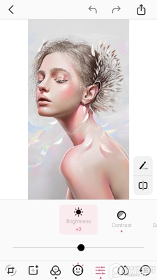 �������pro�߼���(Pomelo Camera)��ͼ1