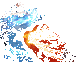 ���ϴ�½��Ϊ�氲װ��v1.1.3 ���°�