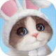 �Һ��ҵ�è���Է�1.0.84161 ��׿��