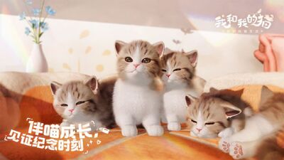 �Һ��ҵ�è���Է���ͼ0