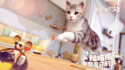 �Һ��ҵ�è���Է���ͼ3