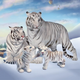 Ұ���׻���ͥģ����ϷWild White Tiger Family Sim1.2 ���ʰ�