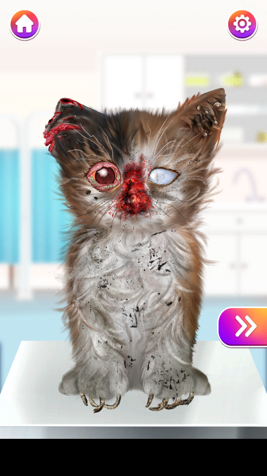 ؈׃Α(Cat Makeover)