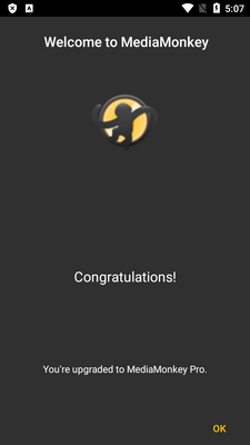 音乐管理器app(MediaMonkey)截图3