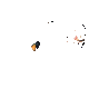 ���ݽ��������²��԰�v1.1.7 ���԰�
