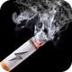���̵��������ֽ�����ٷ���v1.1���°�