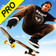 ���޻���3����Skate Party 31.9.0.RC-GP-Lite(60) ���°�