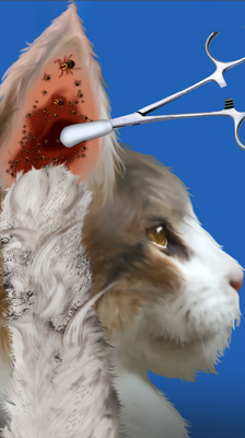 è��������Ϸ(Cat Makeover)��ͼ1