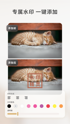 ���䰮ˮӡ�����ֻ����ͼ3