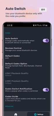 �����������ת������Ѱ�(Bluetooth Codec Changer)��ͼ4