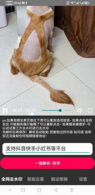 ţ��źŰ�׿���ͼ3