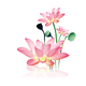ˮī������app��׿�ֻ���v9.9.9 ��Ѱ�