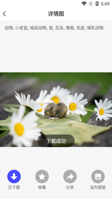 ͼƬ�ز�֮��app��Ա���ͼ1