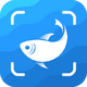 ����ʶ��רҵ��(Picture Fish)v2.4.23 ��׿���°�