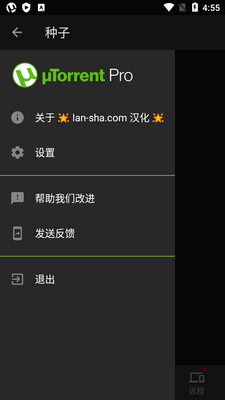 BitTorrent Pro���������°��ͼ2