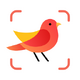 ����ʶ��(Picture Bird)2.9.26 �߼���Ա��Ѱ�
