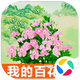 �ҵİٻ�԰�����v1.5���°�
