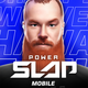 �����ģ��������(Power Slap)4.0.8 ���°�