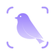 ����ʶ��app�ٷ���v3.5.2�ֻ���