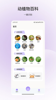 ����ʶ��app�ٷ����ͼ1