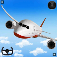 �����ķɻ�����ģ��������(Aeroplane Landing)v2.4���°�