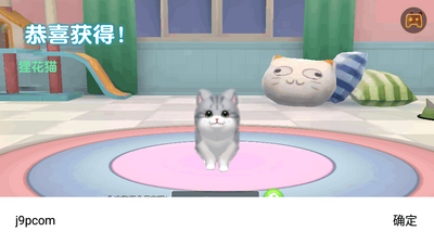 ���˸�è������ʵ�����ͼ4