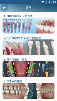 ����3Dͼ��ѧϰ������Ѱ�(Dental Illustrations)��ͼ2