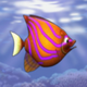 ��ʳ�����ιٷ���(Feeding Frenzy)v1.7���°�
