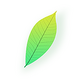 ��Ҷ������Ƶ��׿��v1.0���°�